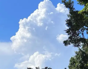 扶沟天气预报,扶沟7天天气预报,扶沟15天天气预报,扶沟天气查询